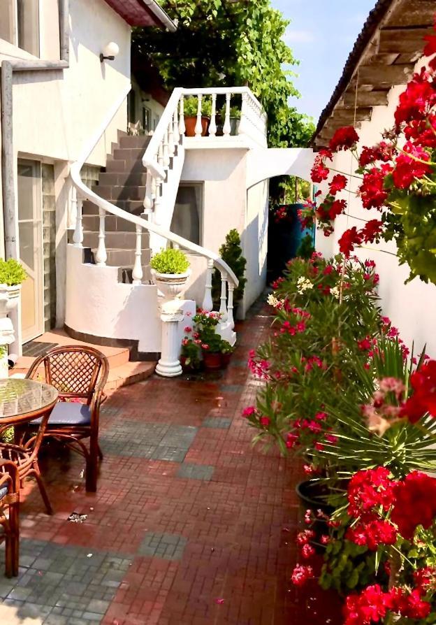 Casa Mediterana *
