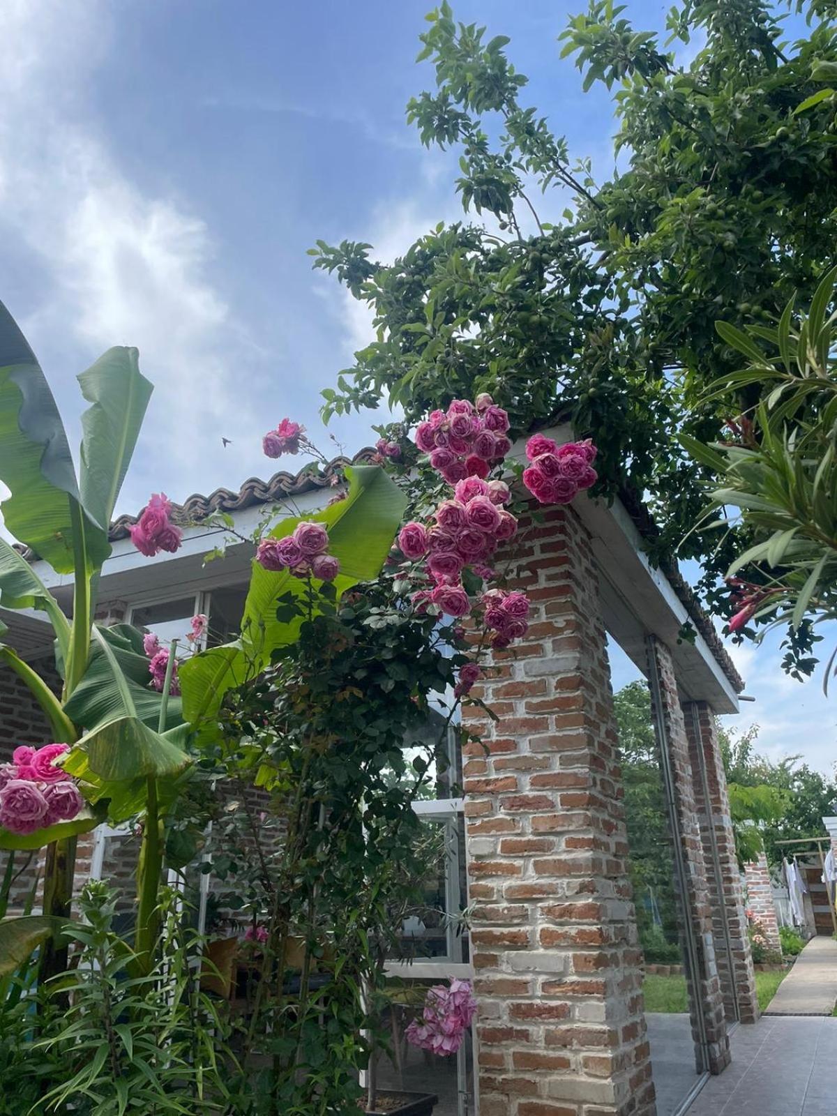 Casa Mediterana Agroturismo